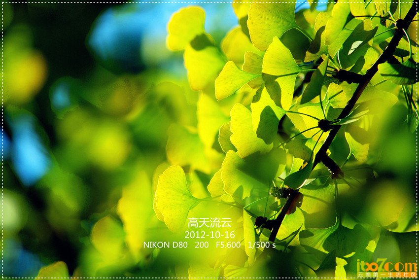 圆通山 秋 025_副本_副本_副本.jpg