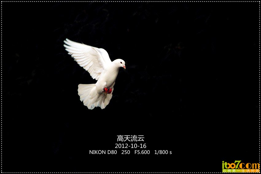 圆通山 秋 049_副本_副本_副本.jpg