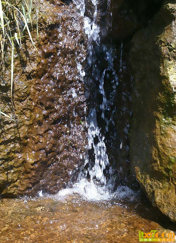 DSC_0096.jpg