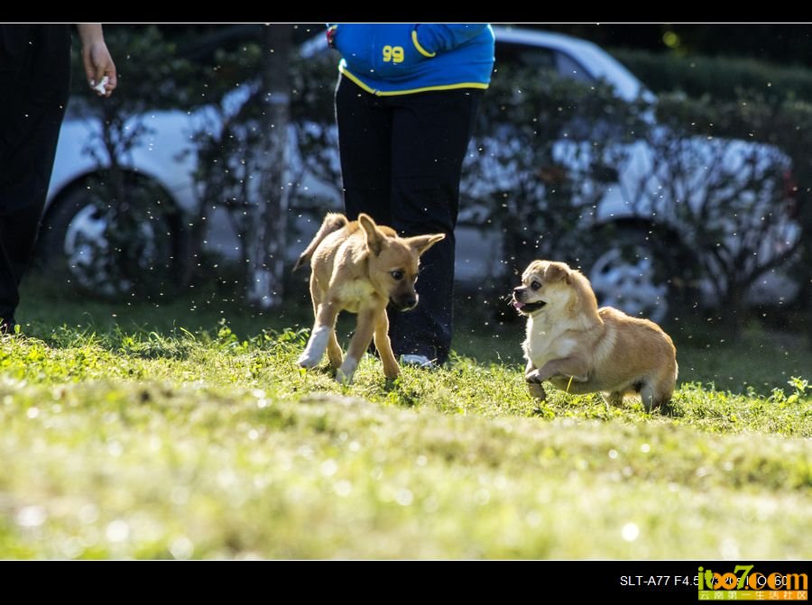 nEO_IMG__DSC2479.jpg