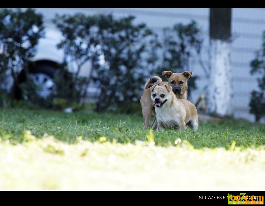 nEO_IMG__DSC2495.jpg