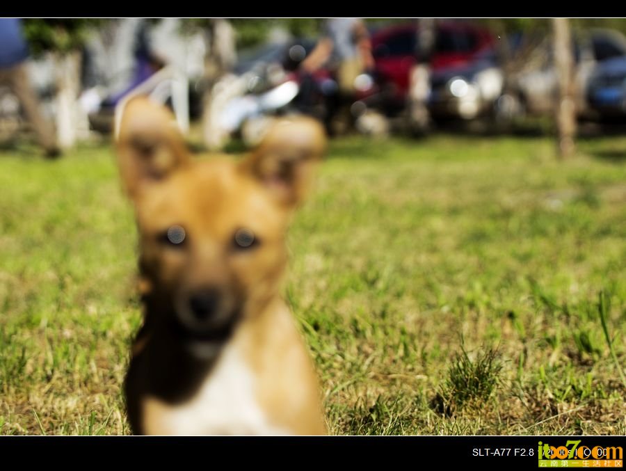 nEO_IMG__DSC2475.jpg