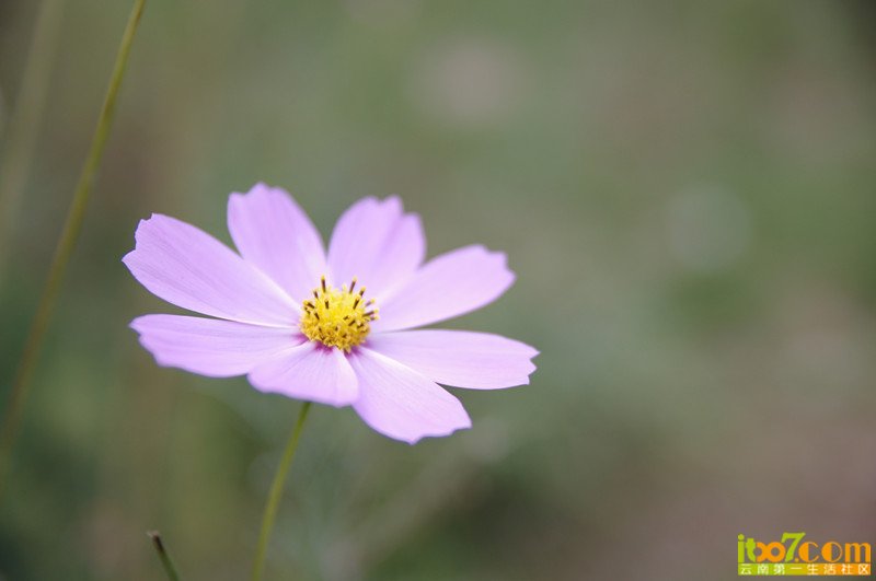 IMGP1474_副本.jpg