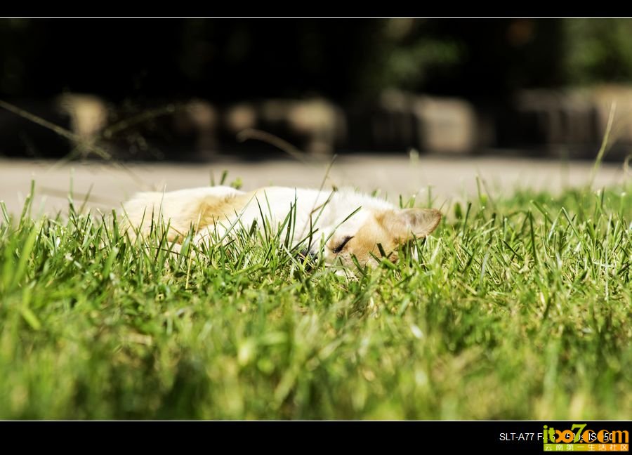 nEO_IMG__DSC2364.jpg