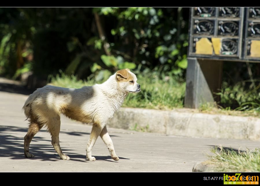nEO_IMG__DSC2431.jpg