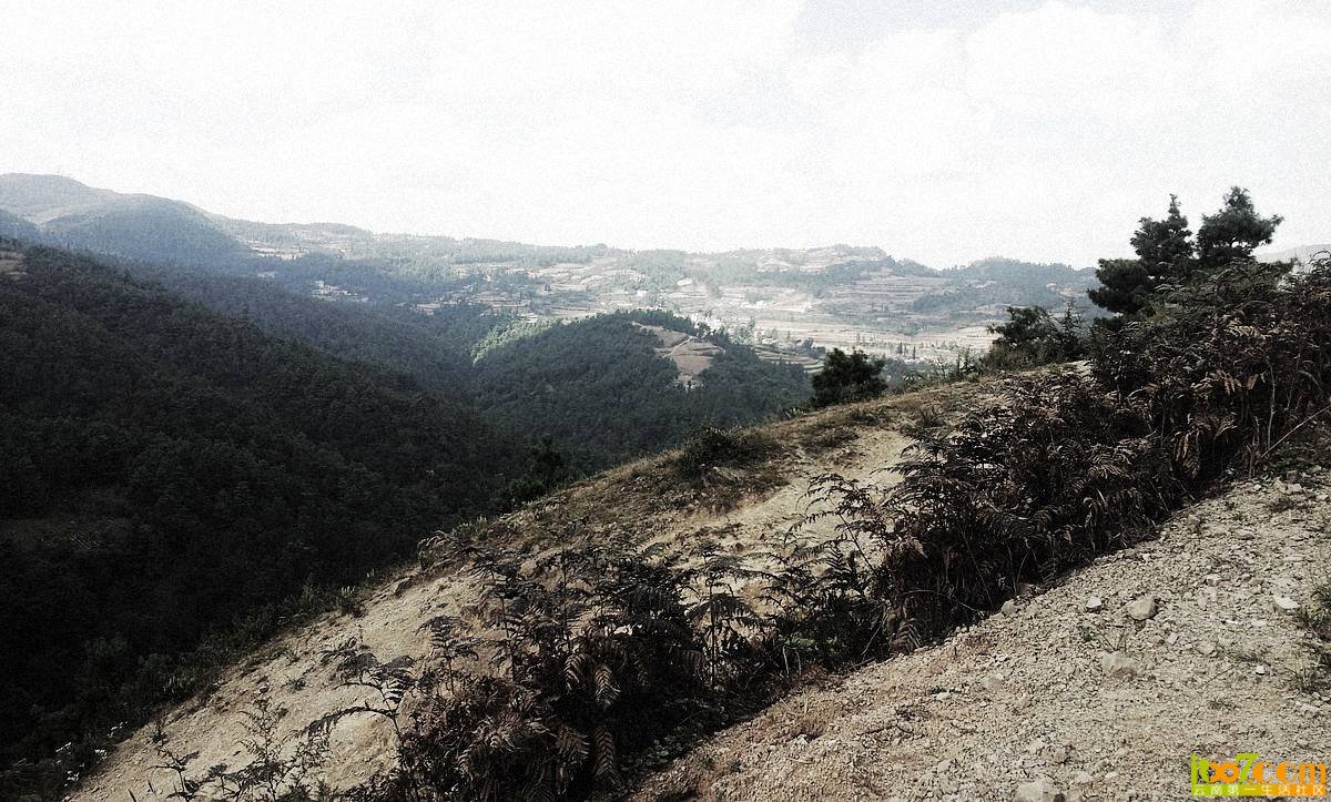 20121027_120005.jpg