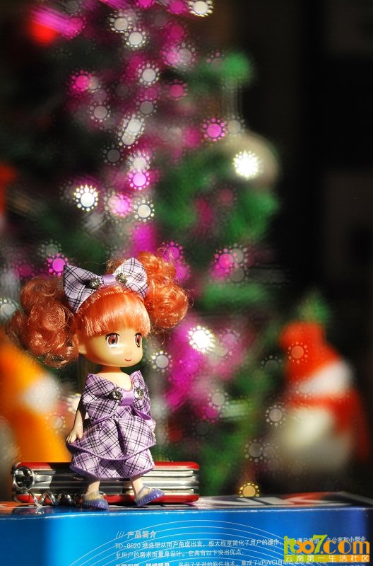 DSC_0037.JPG
