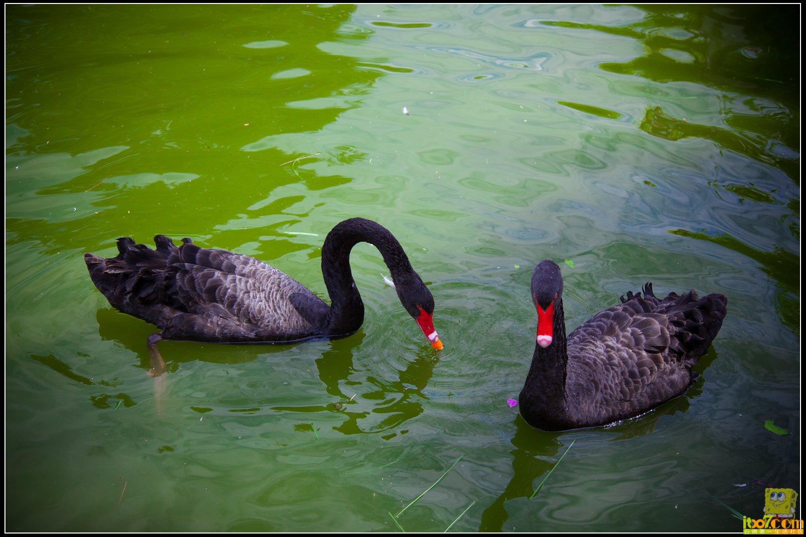 20121004-12.jpg