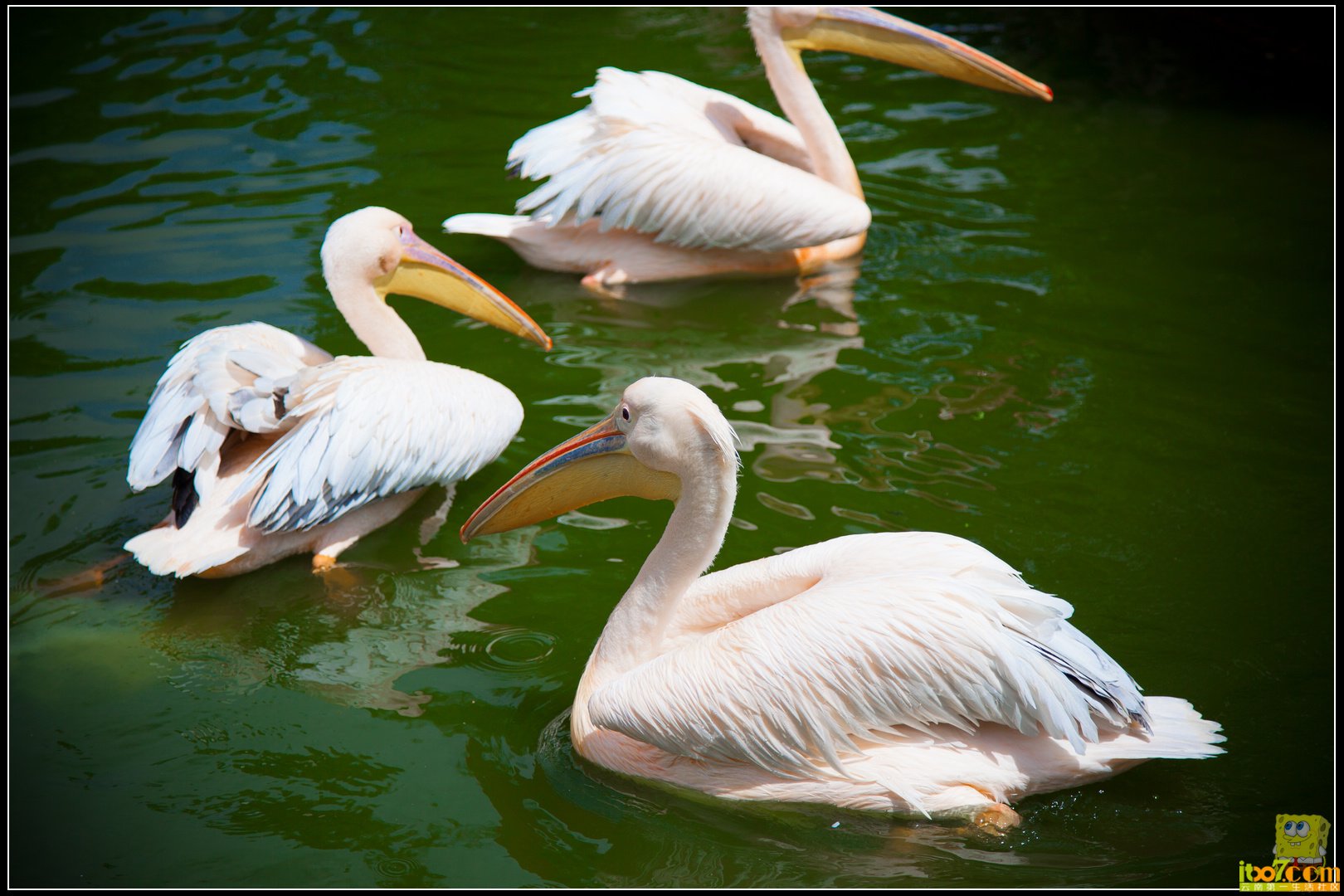 20121004-13.jpg