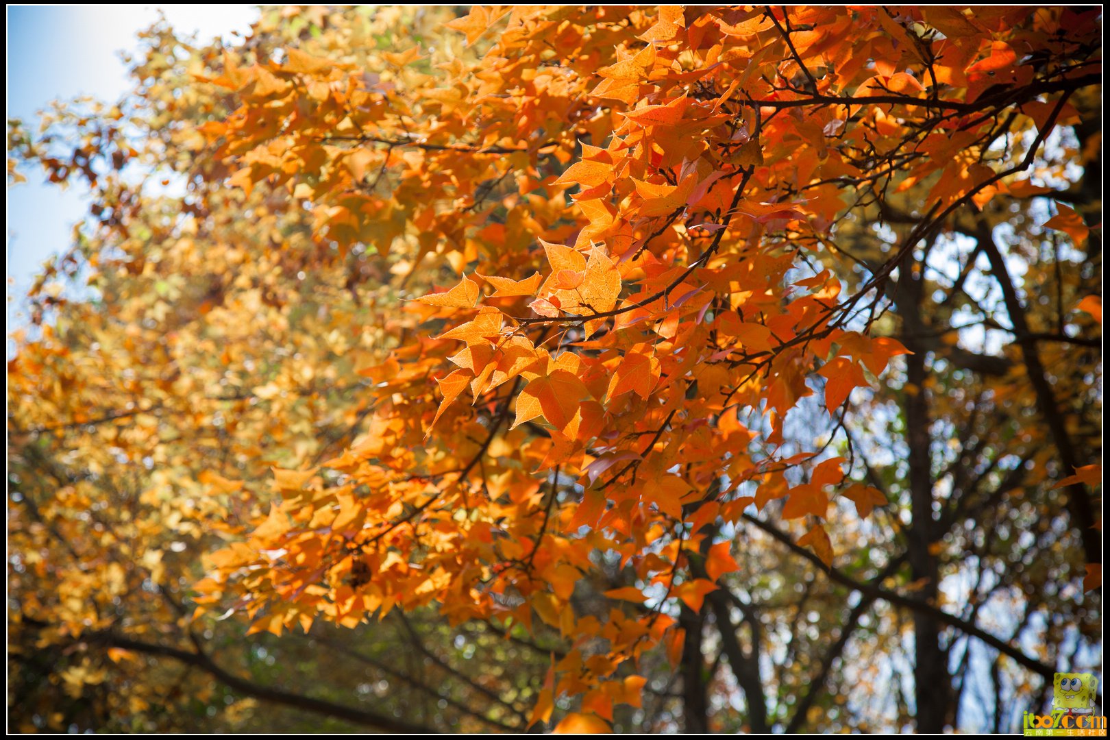 20121104-16.jpg