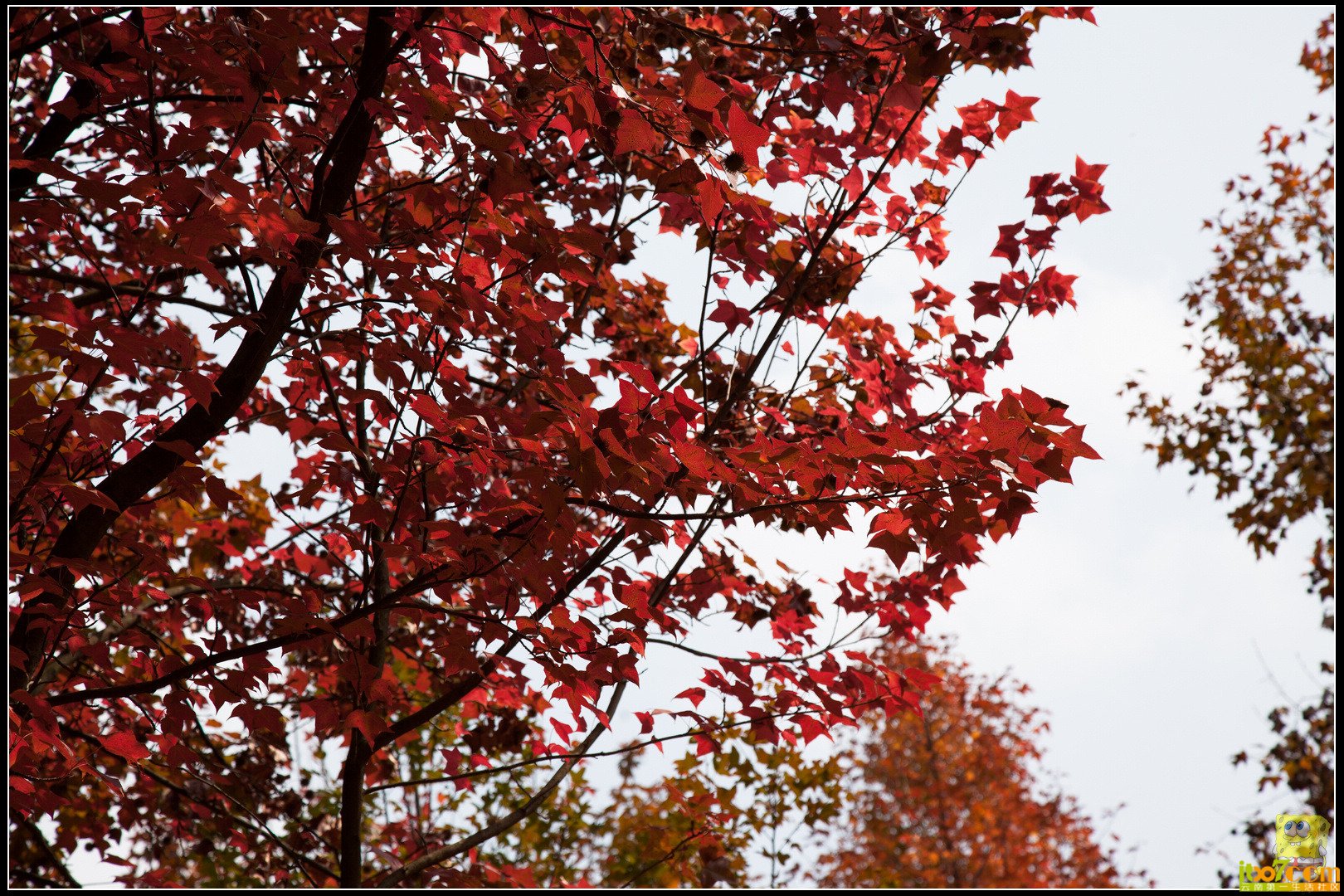 20121104-20.jpg