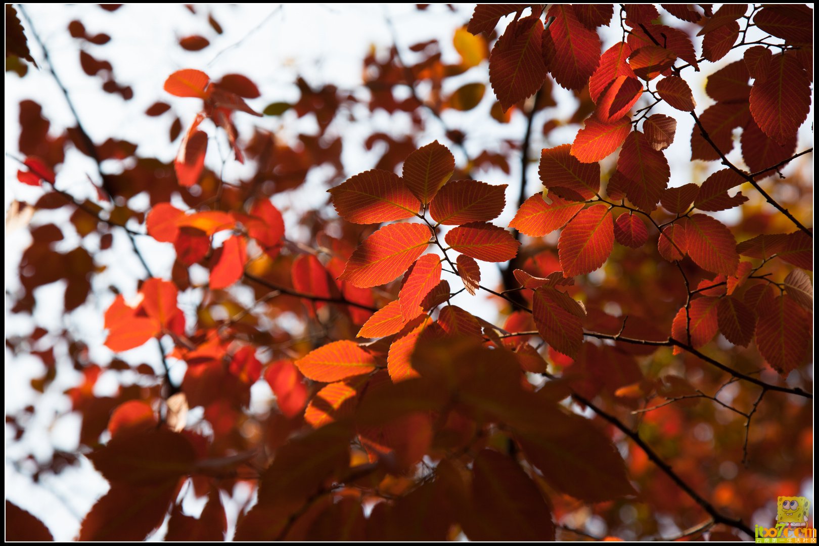 20121104-22.jpg