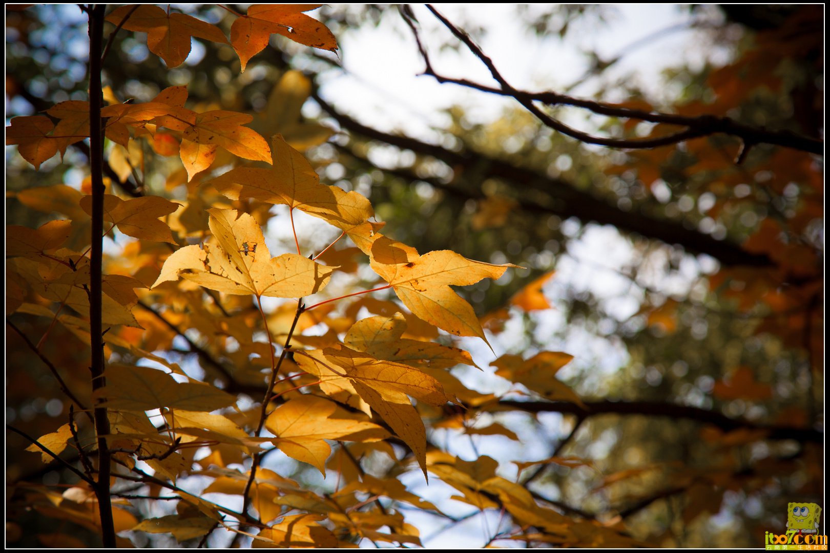 20121104-23.jpg