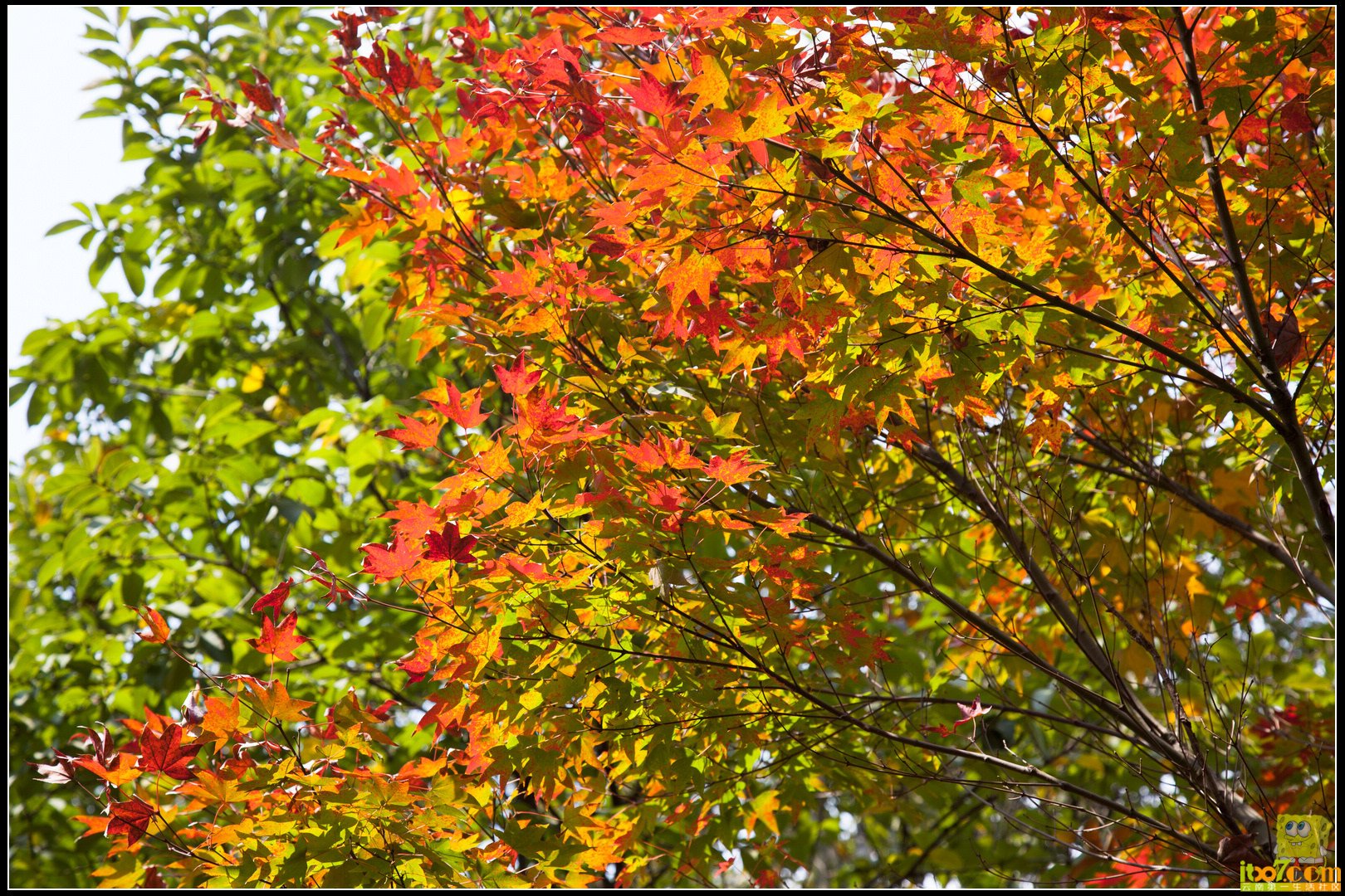 20121104-24.jpg
