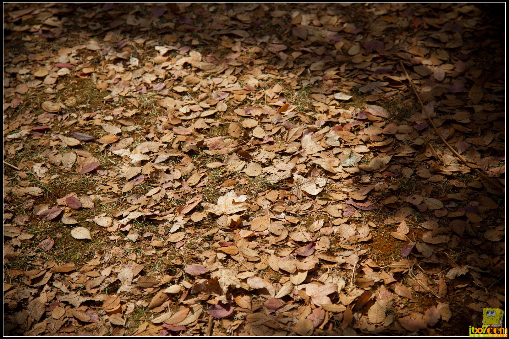20121104-27.jpg