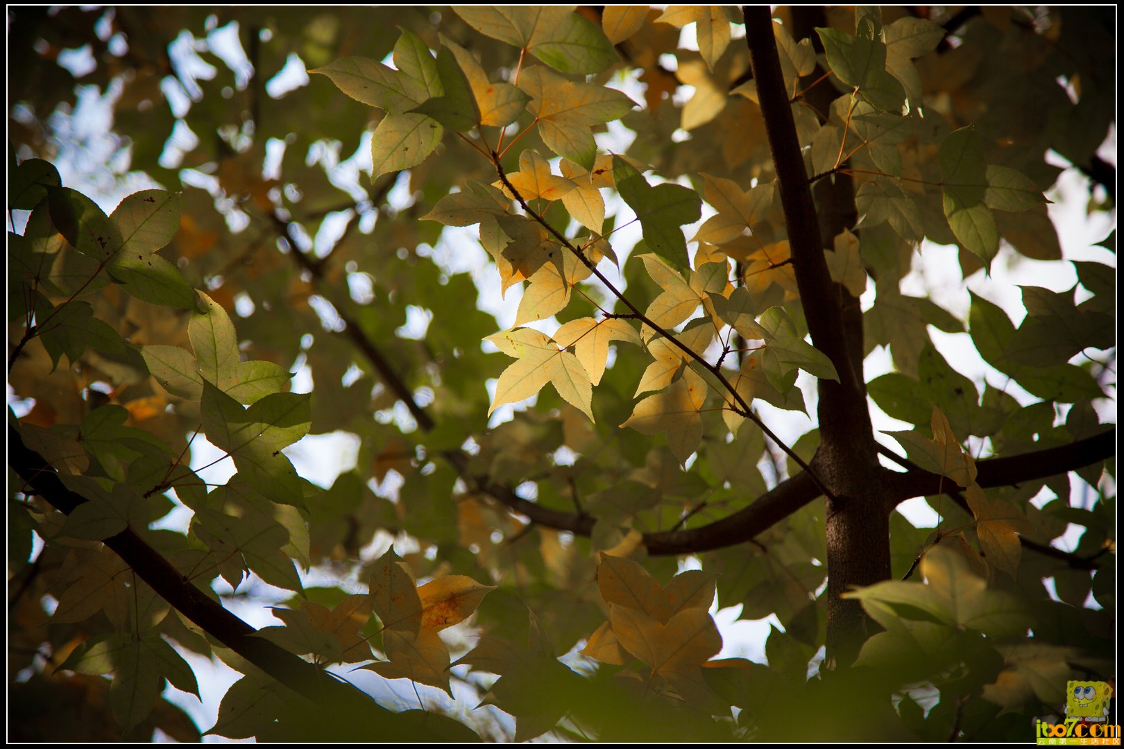 20121104-30.jpg
