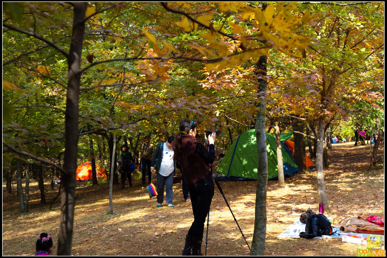 20121104-31.jpg