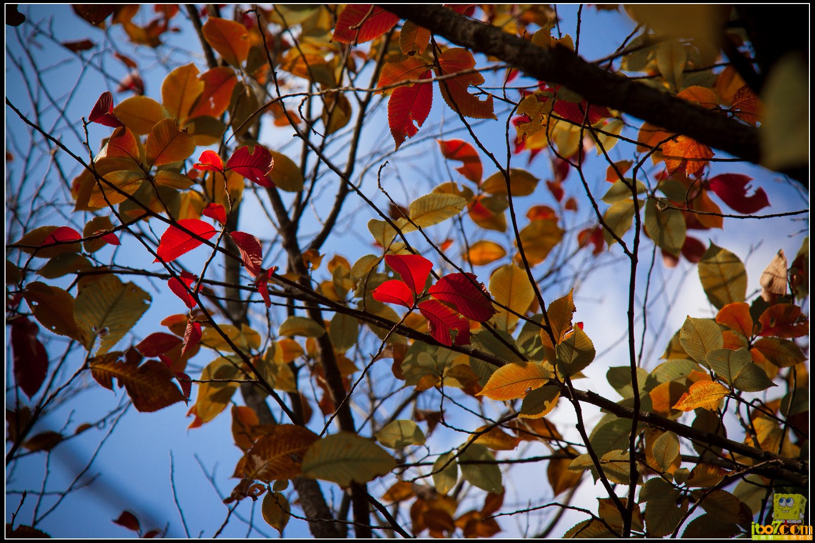 20121104-32.jpg