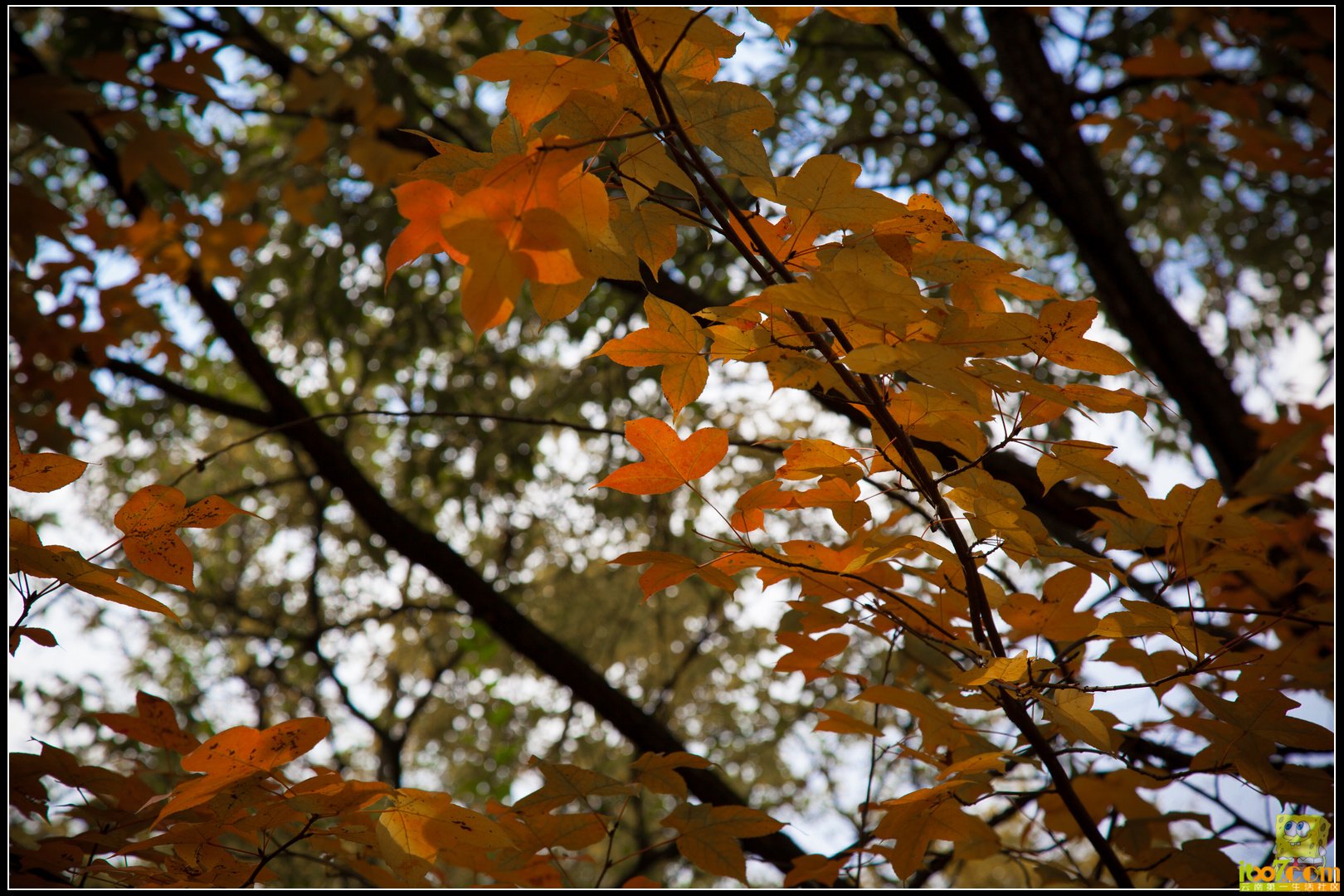 20121104-33.jpg