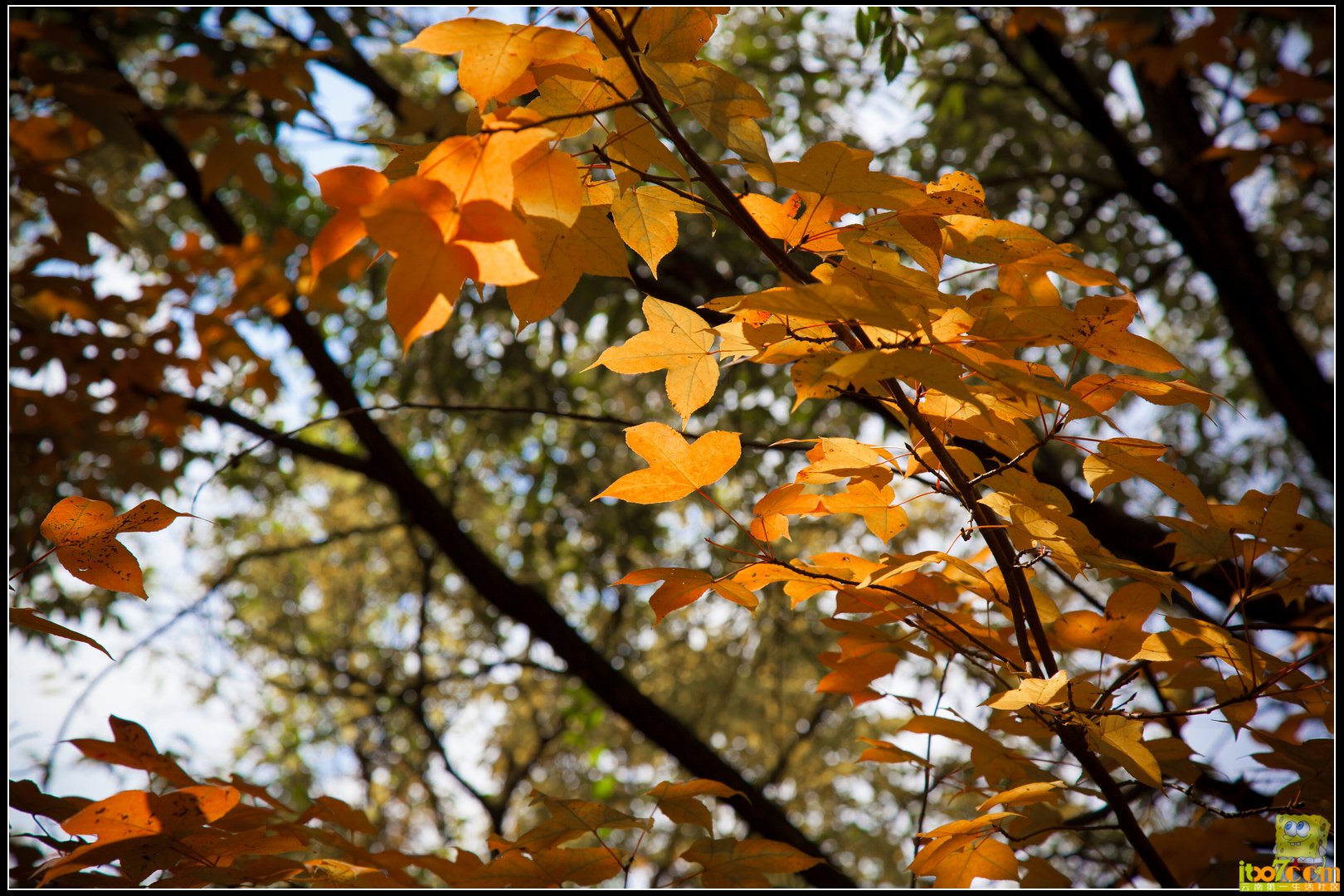 20121104-35.jpg