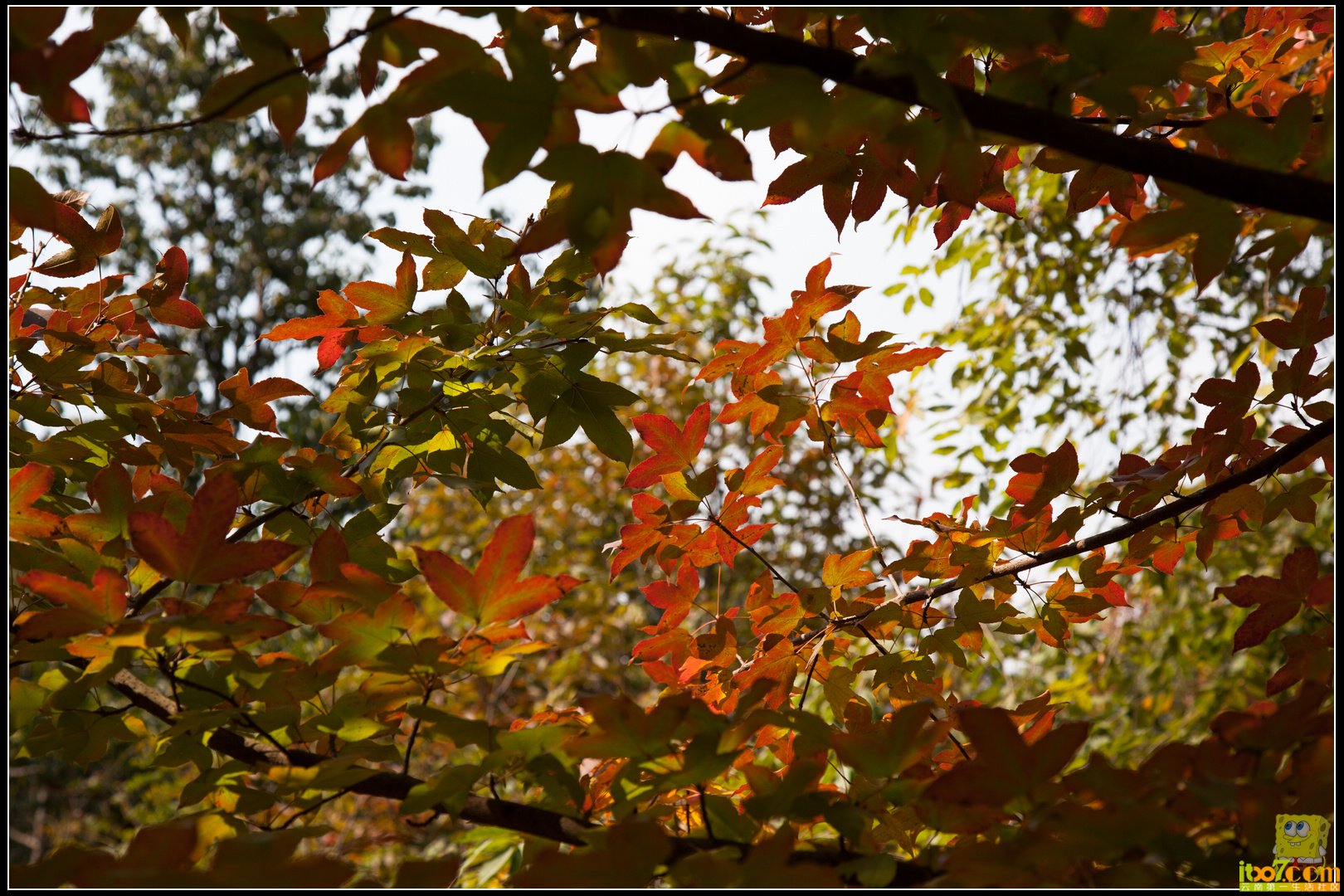 20121104-36.jpg