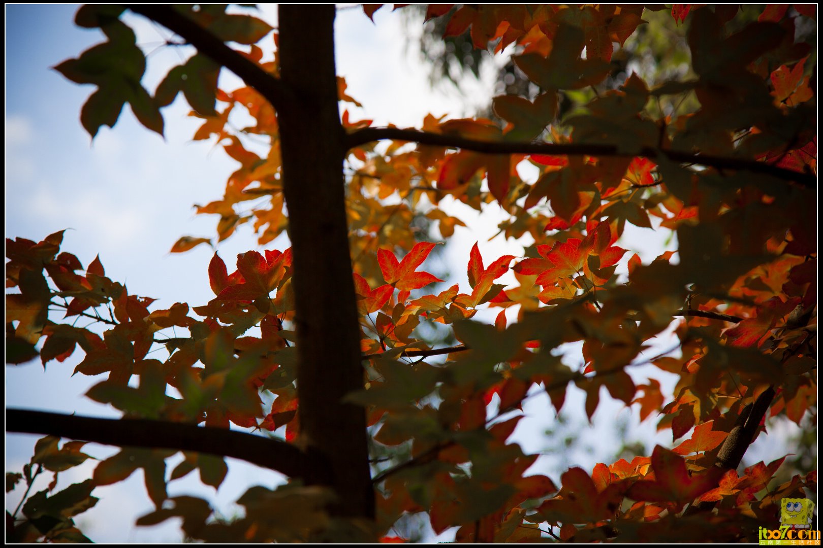 20121104-37.jpg