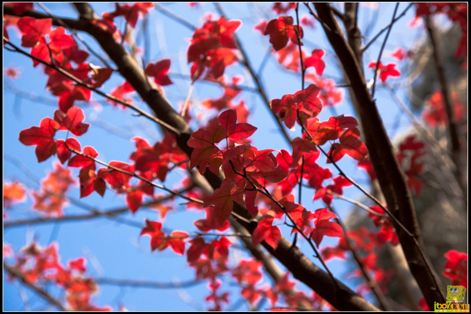 20121104-41.jpg
