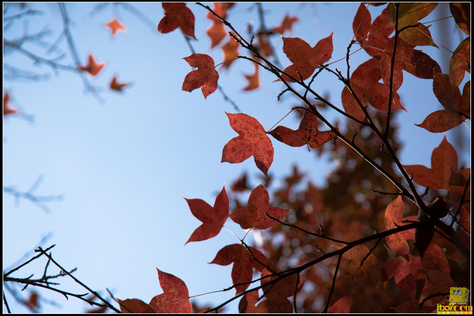 20121104-42.jpg