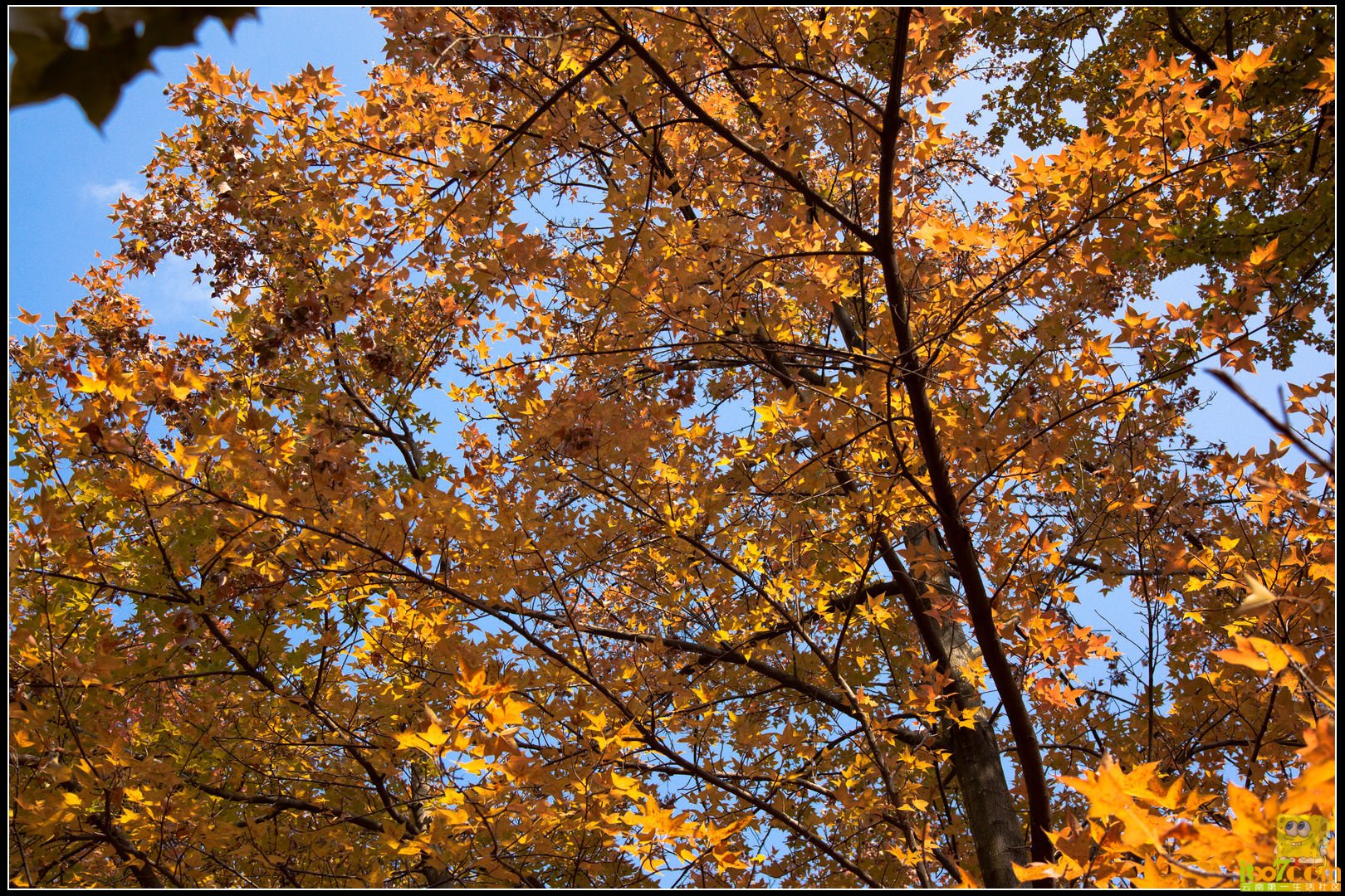 20121104-44.jpg