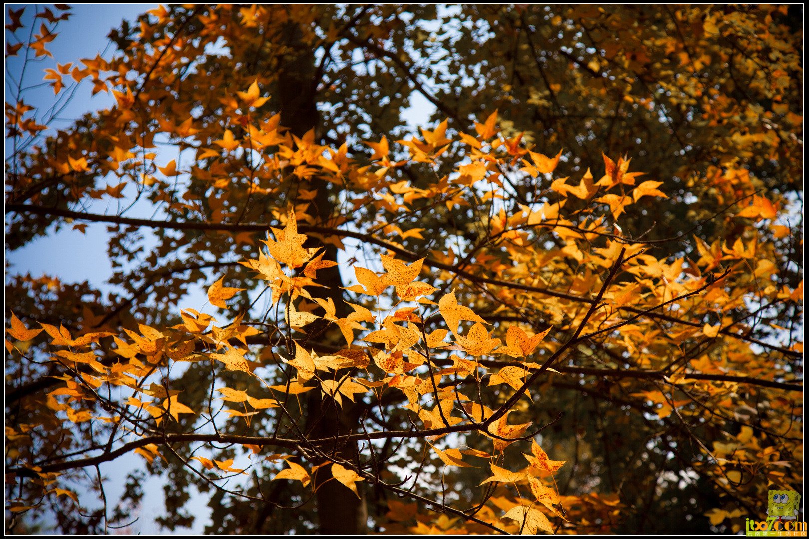 20121104-45.jpg