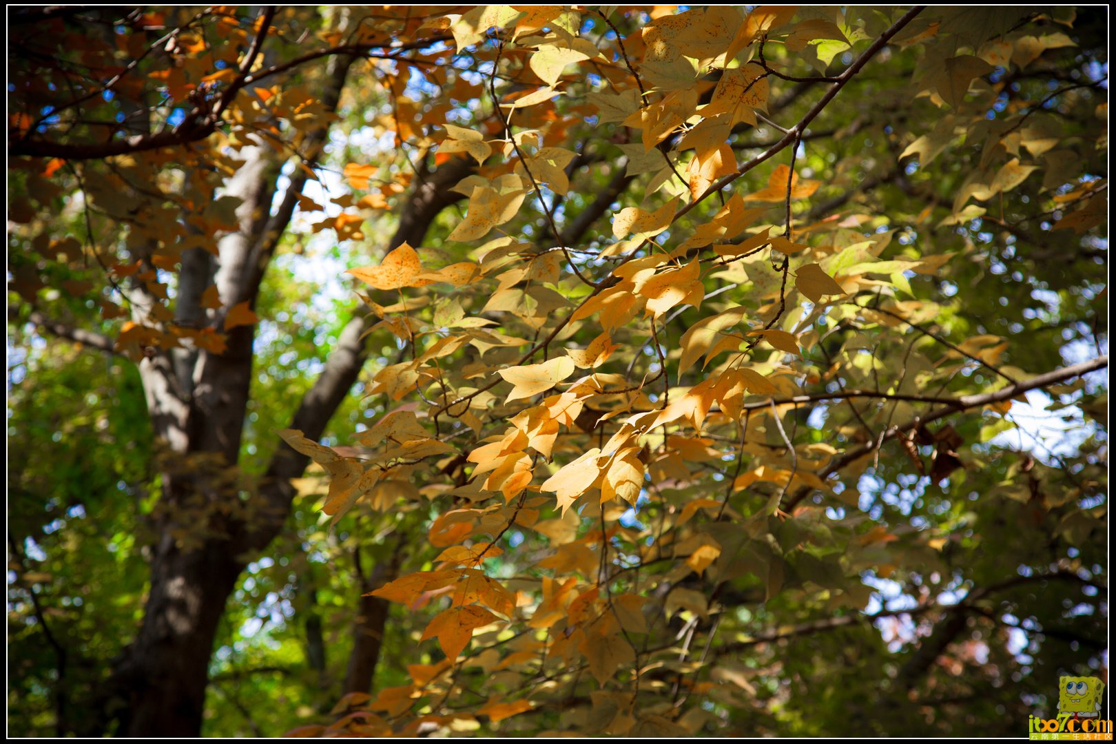 20121104-46.jpg