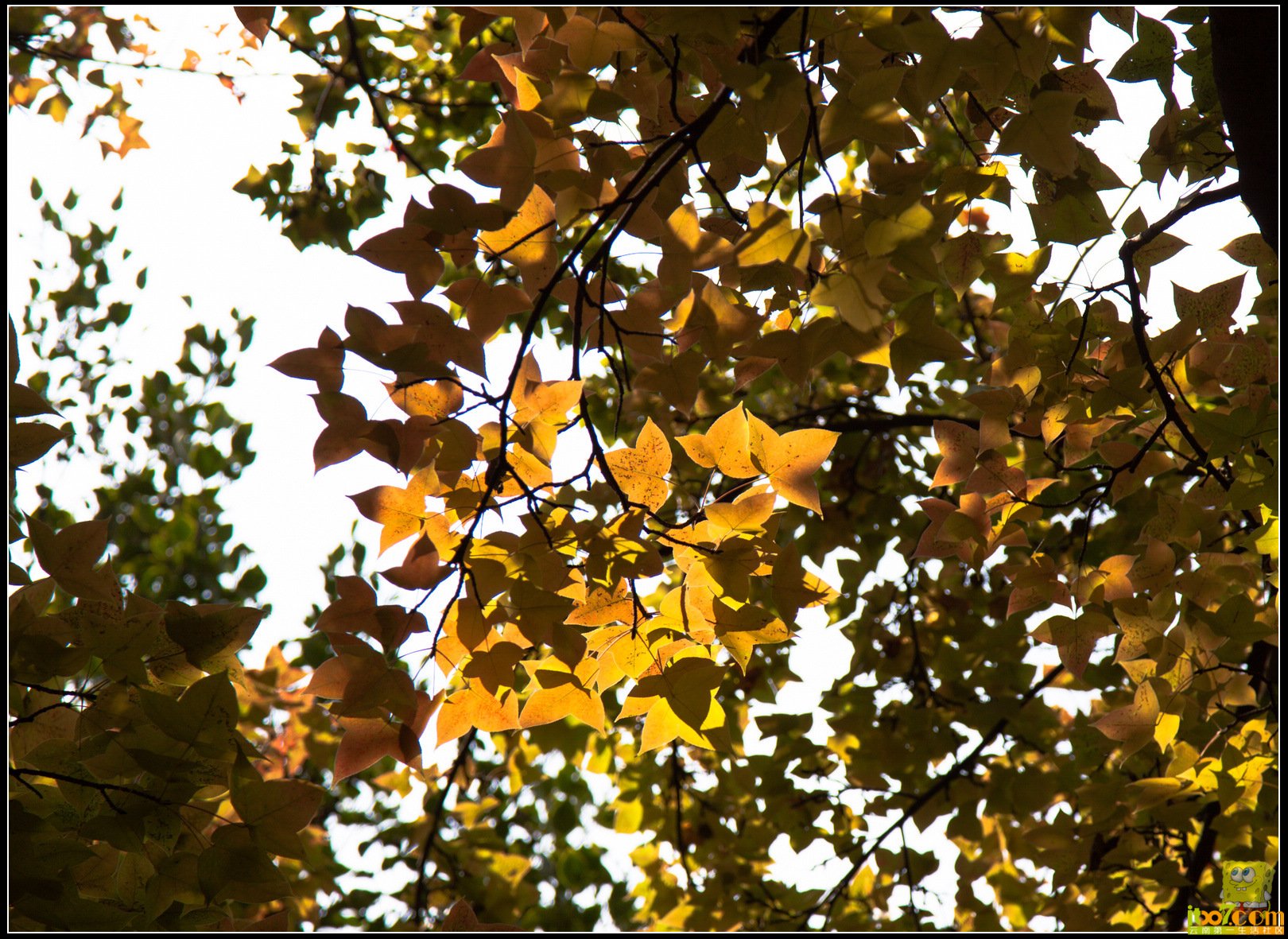 20121104-48.jpg