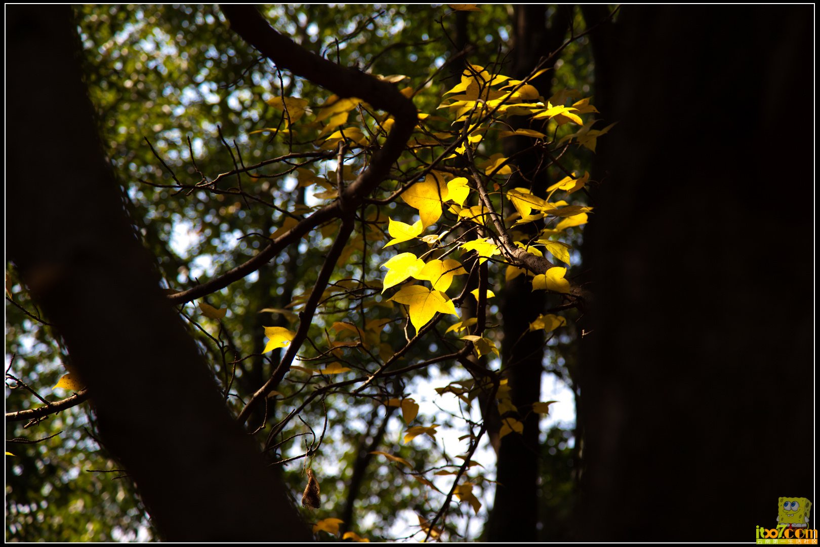 20121104-50.jpg