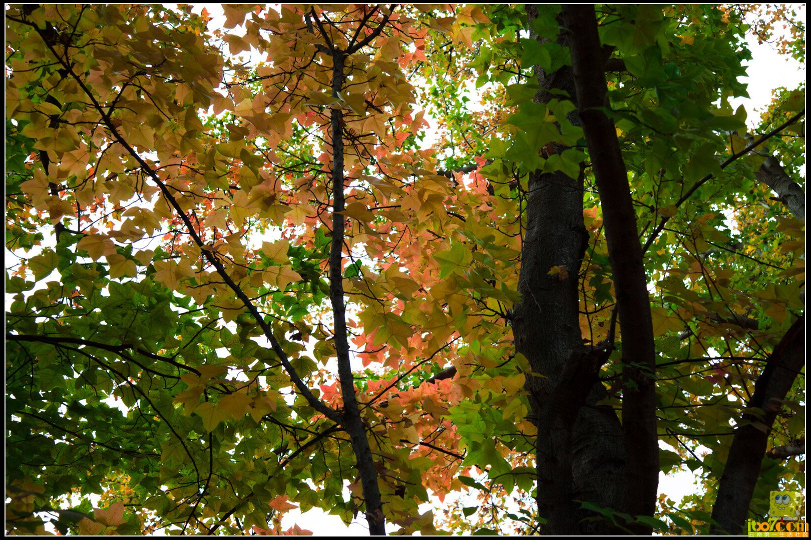 20121104-53.jpg