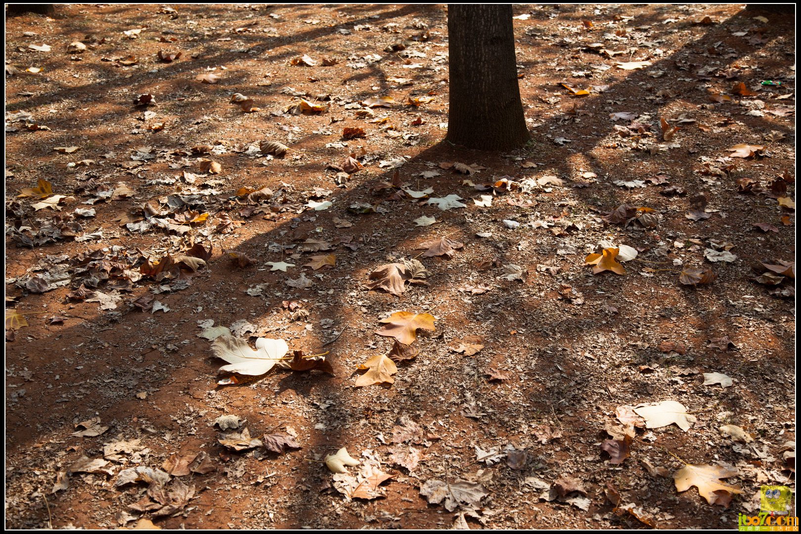 20121104-54.jpg