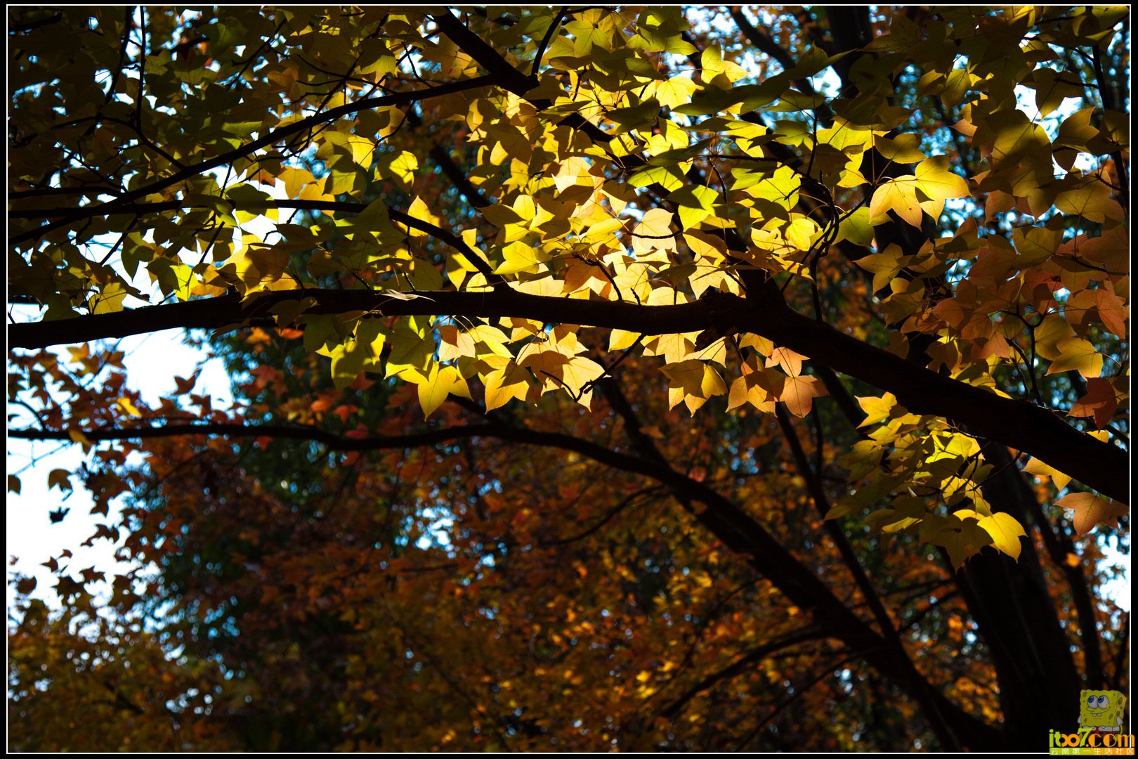 20121104-56.jpg