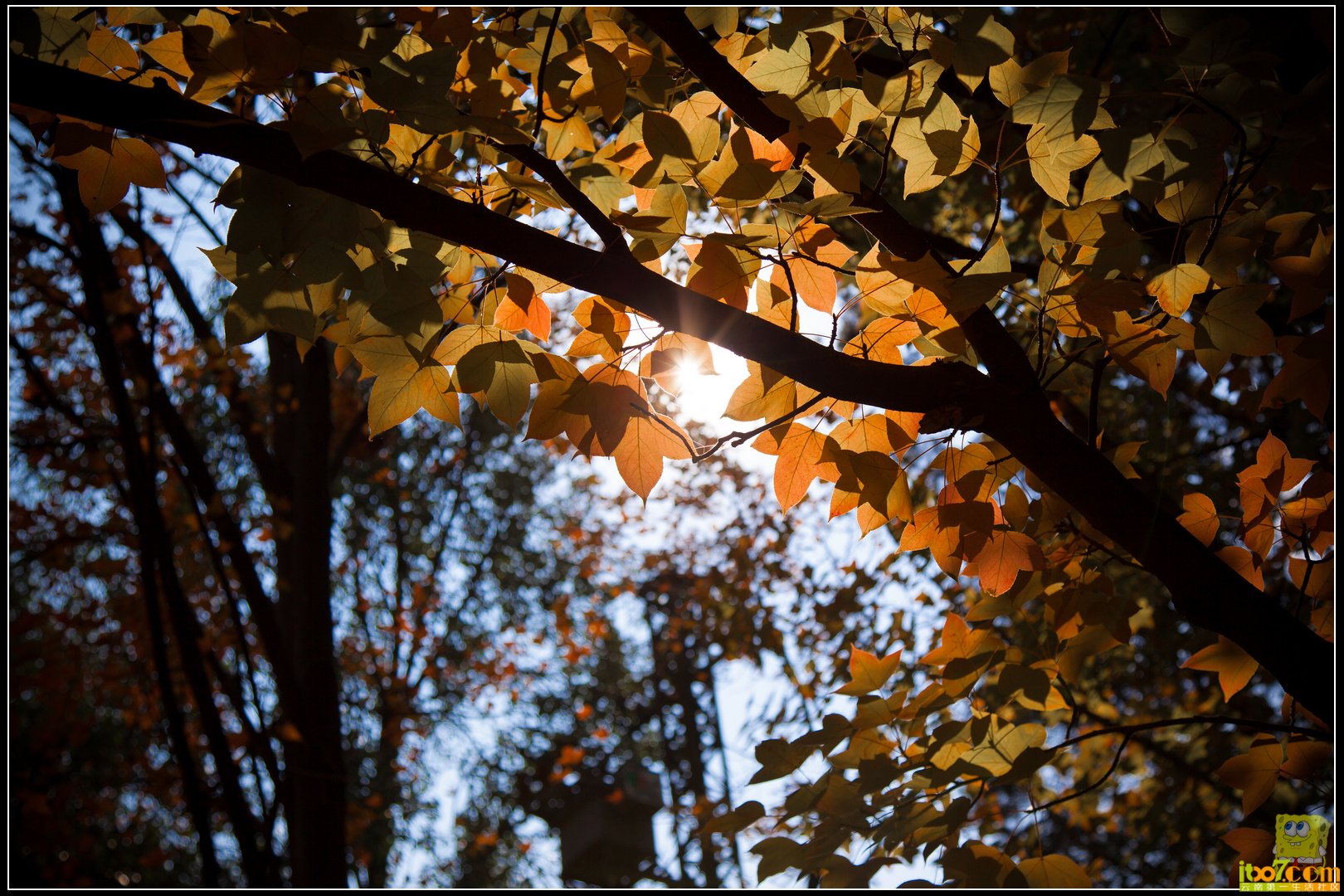 20121104-57.jpg