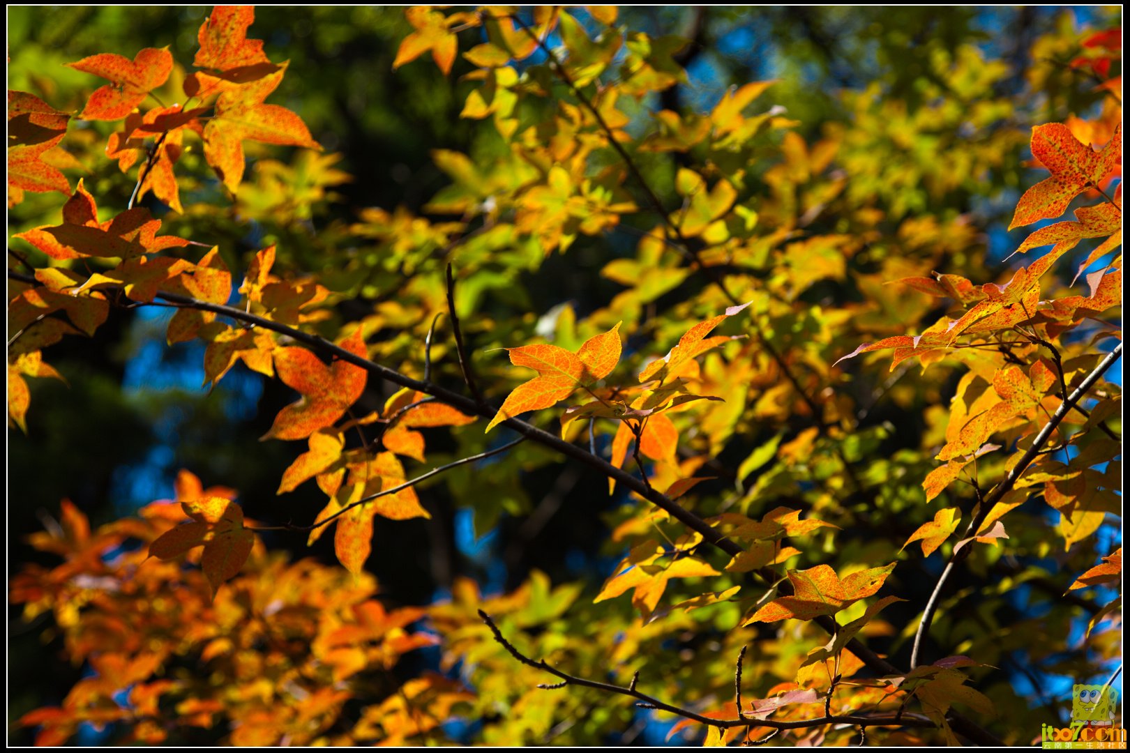20121104-59.jpg