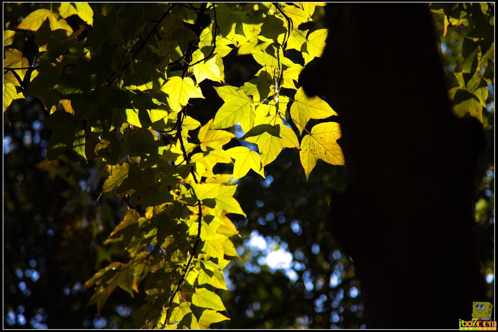 20121104-60.jpg