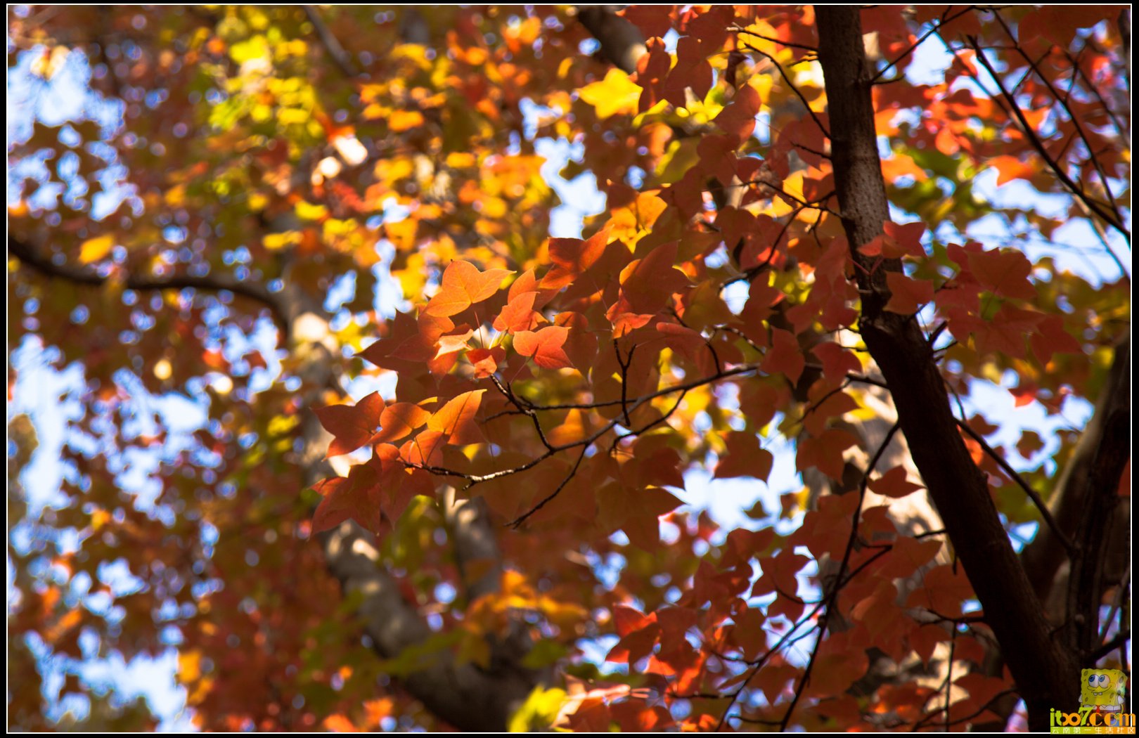 20121104-63.jpg