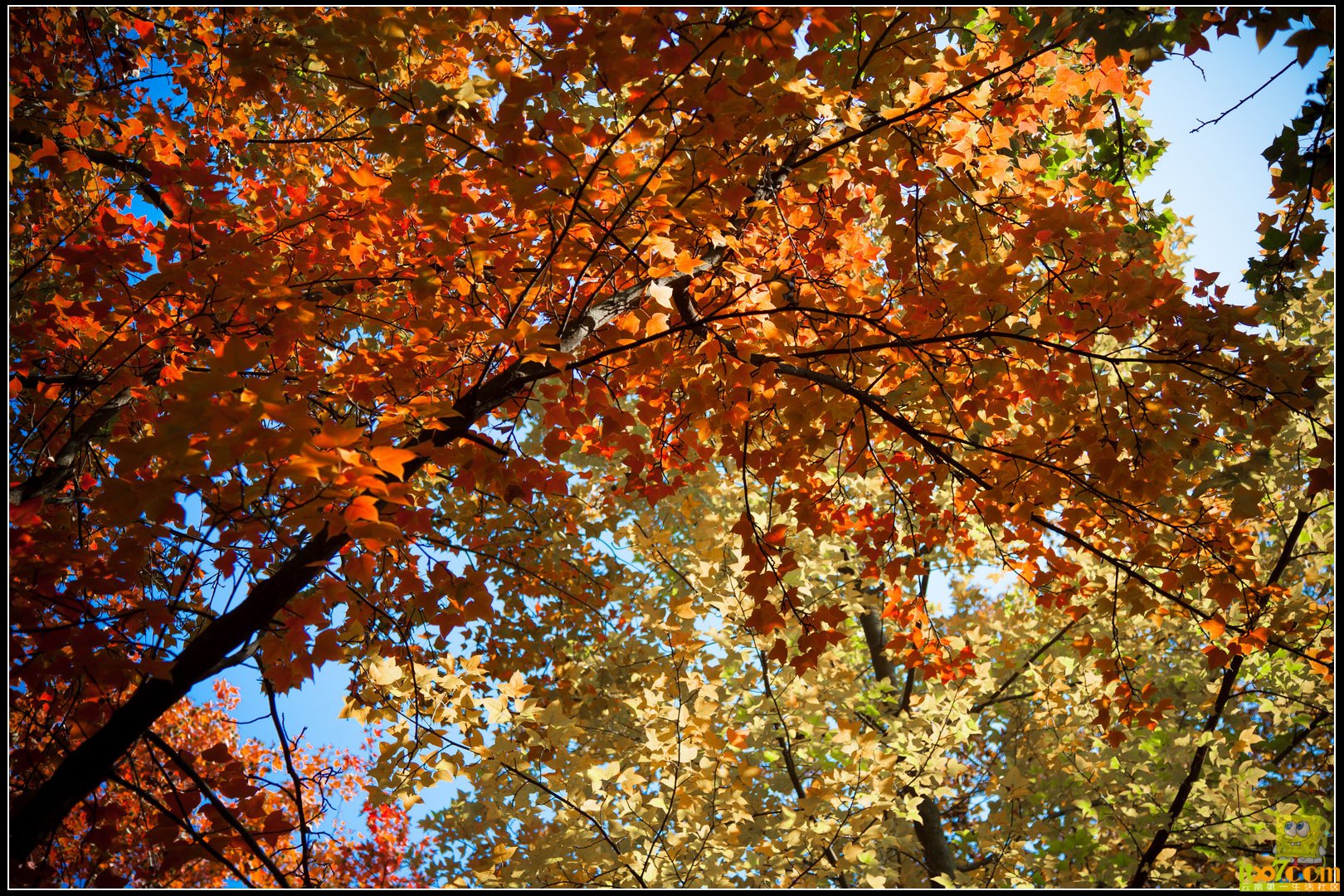 20121104-64.jpg