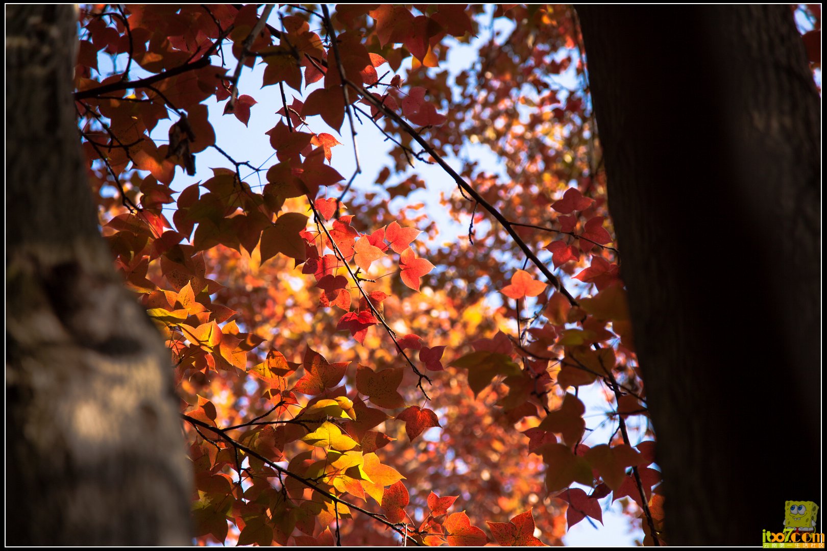 20121104-65.jpg