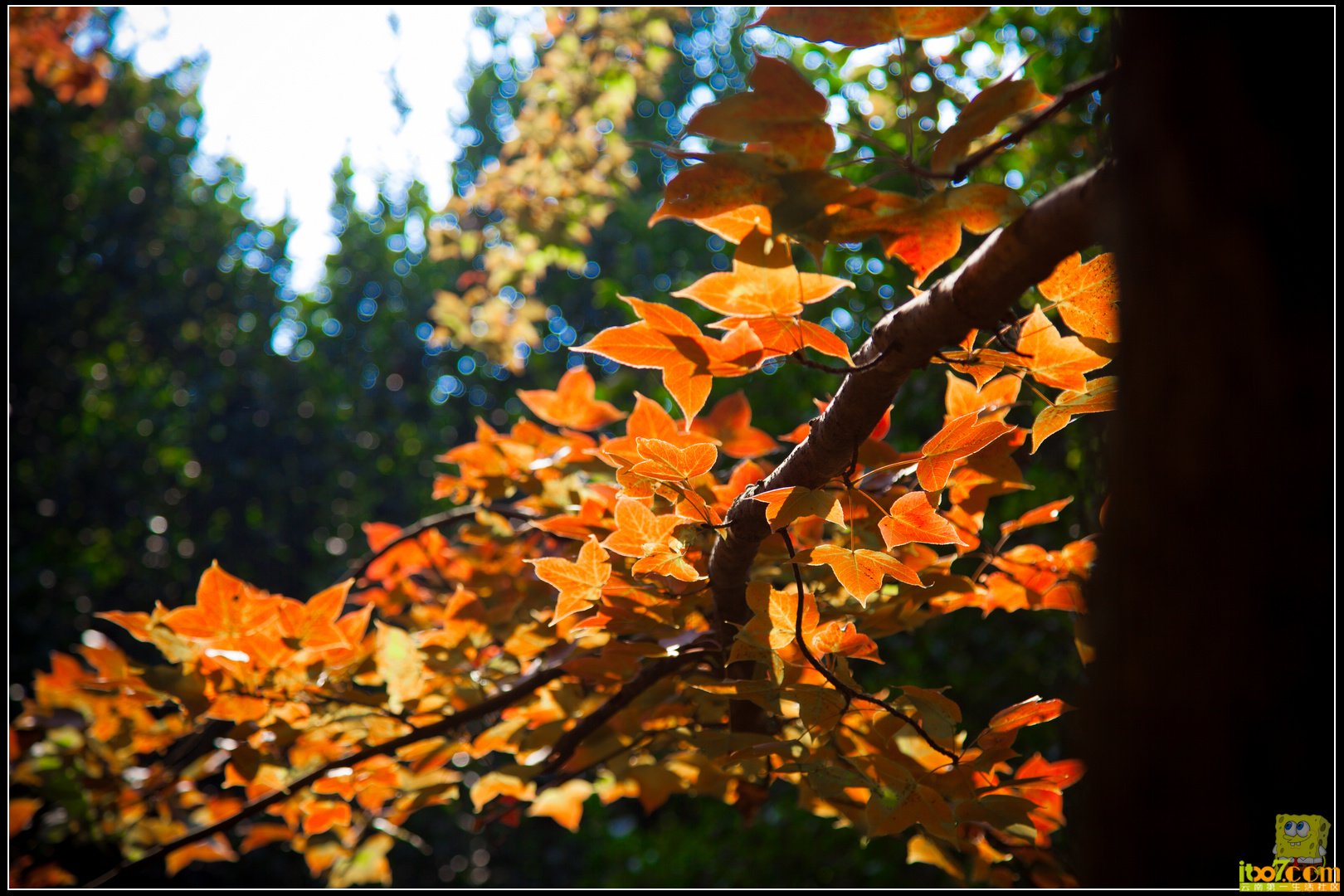 20121104-66.jpg