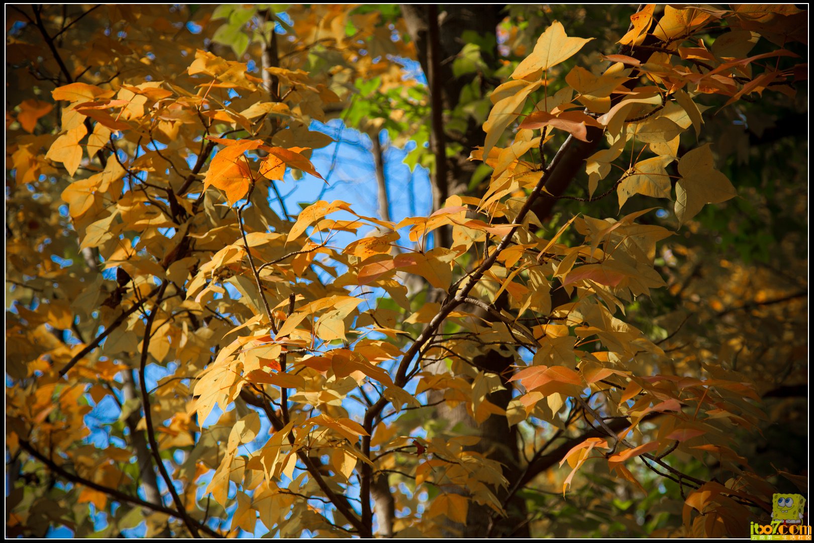 20121104-67.jpg