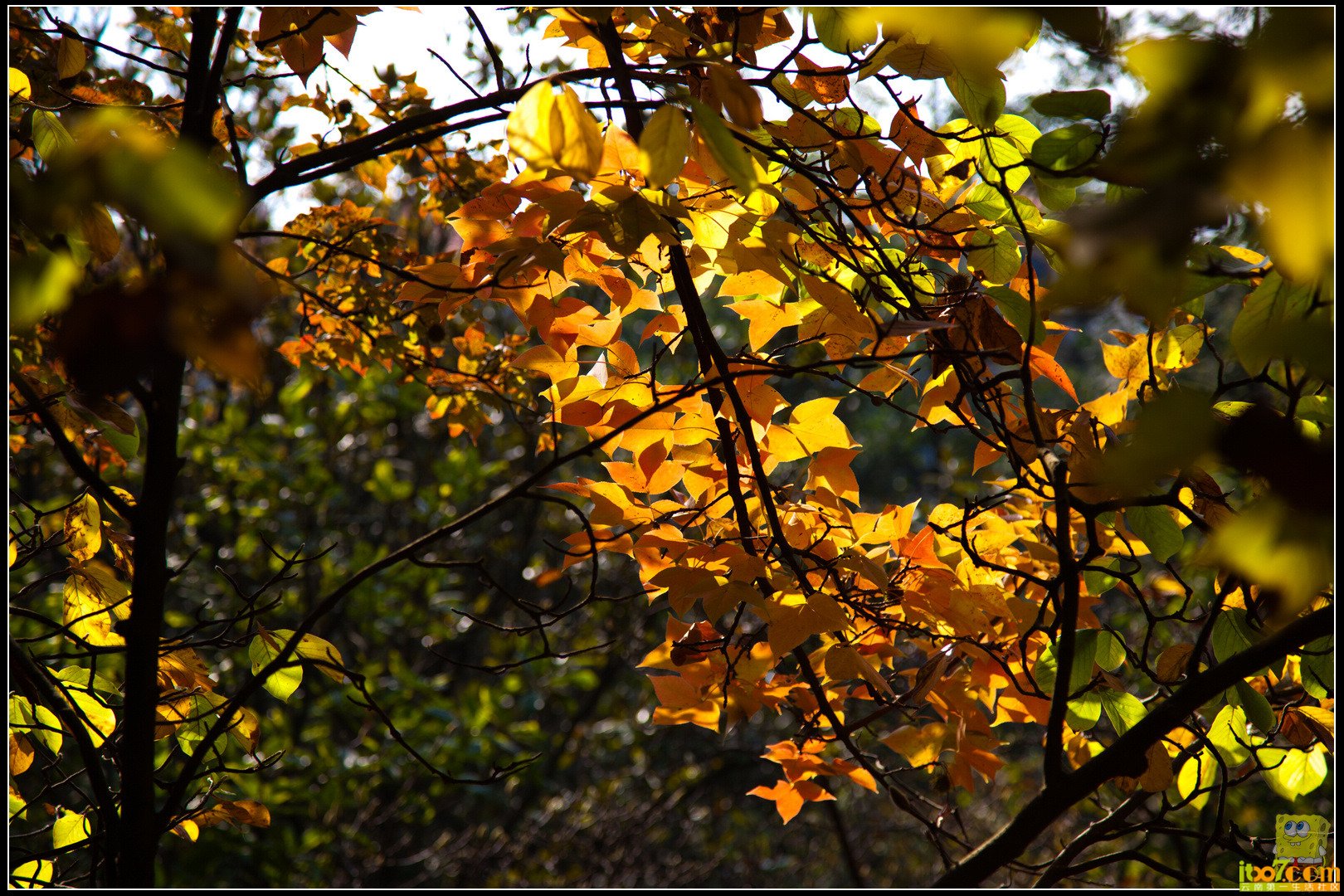 20121104-68.jpg