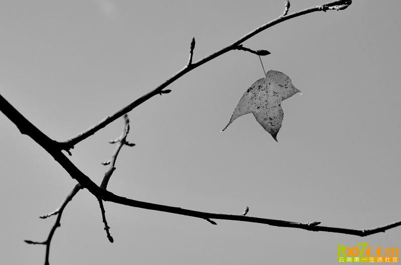 3309_01.JPG