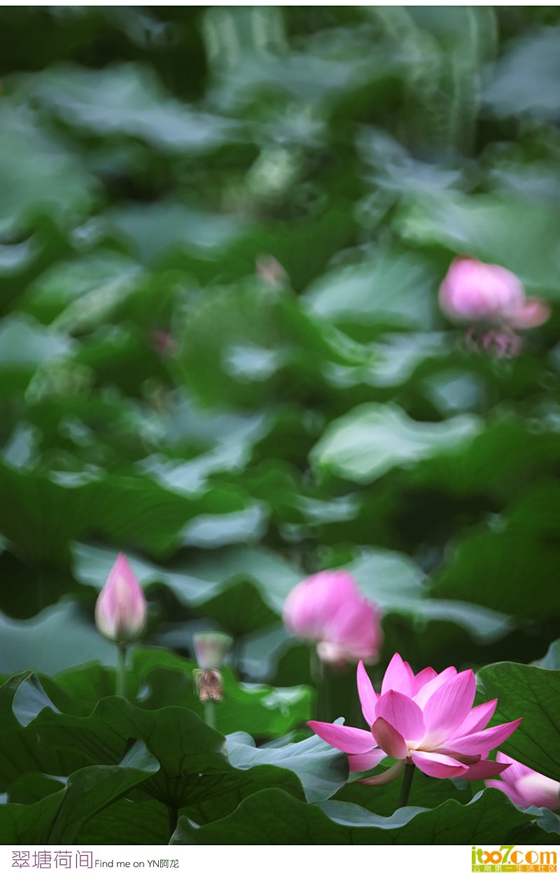 0P3A2857.jpg