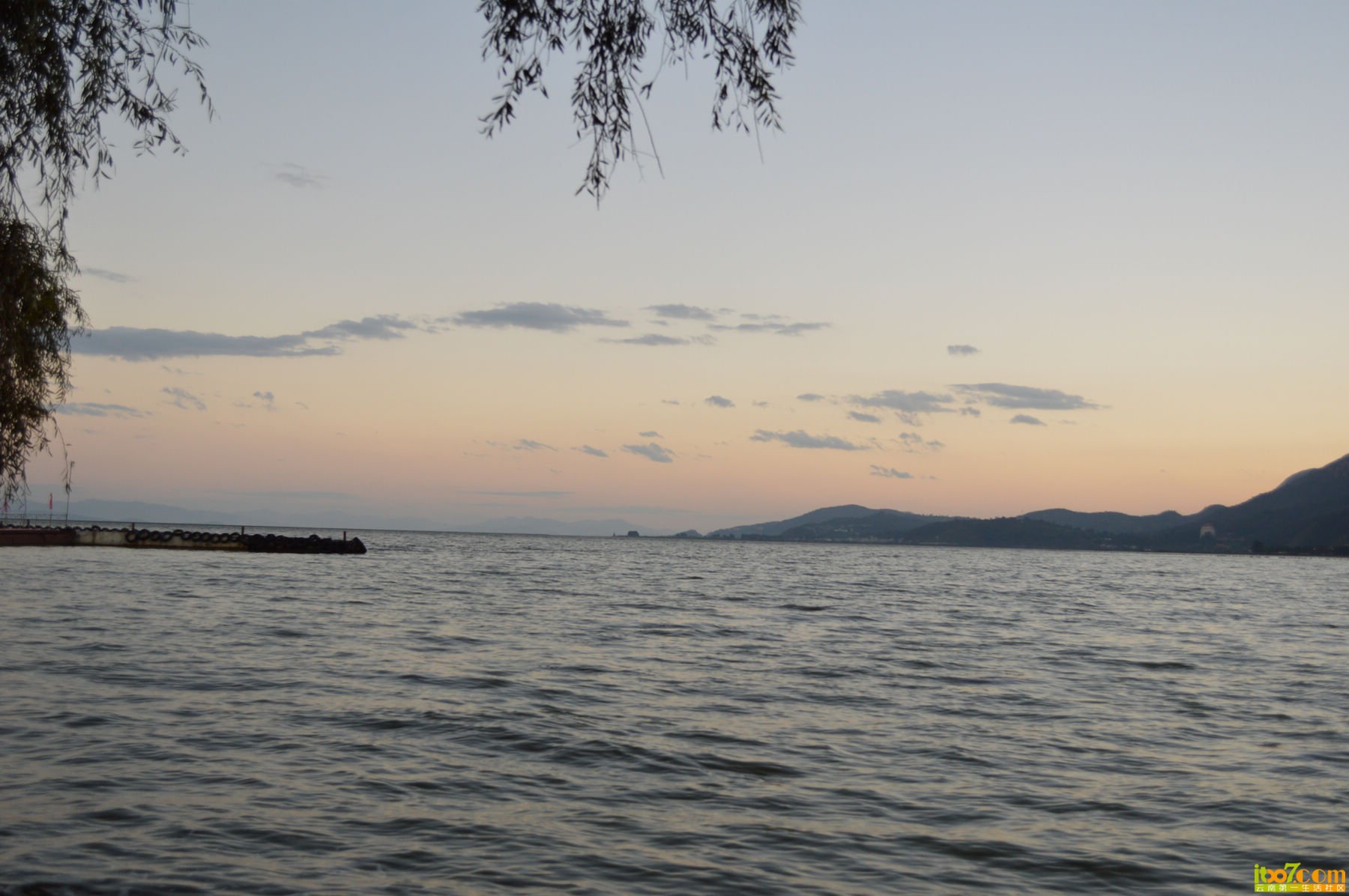 DSC_0717.jpg