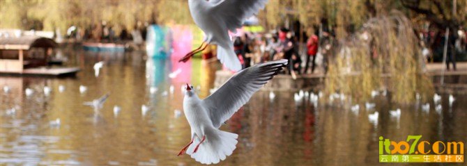 IMG_0128.jpg