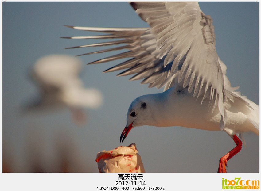 大坝转转 007_副本_副本.jpg